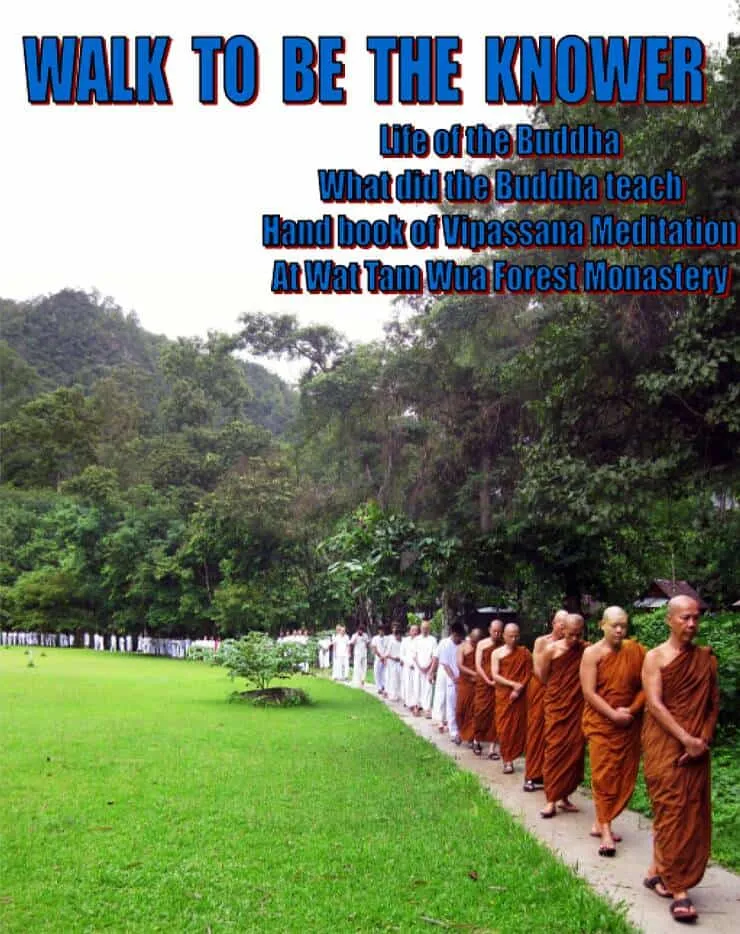 Walk to be the Knower — book by Phra Anek Thanissarapoti